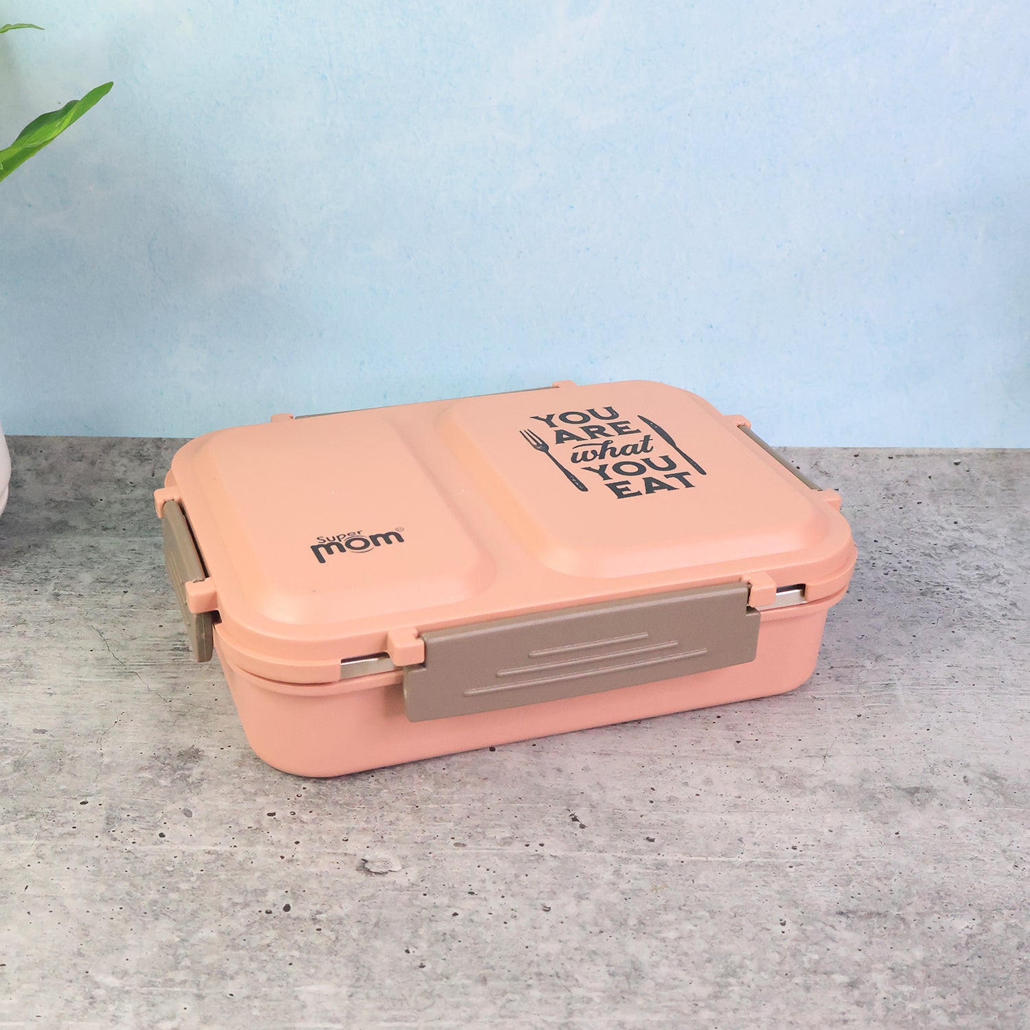Stainless Steel Lunch Box - Supermom 2 Partition